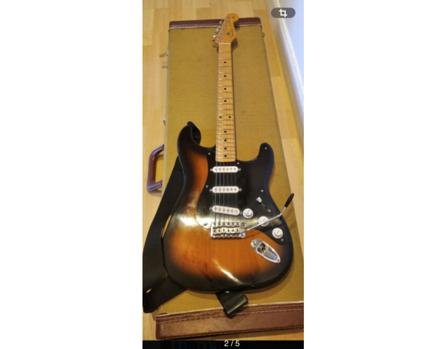 Stratocaster partcaster