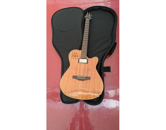GUITARRA GODIN A6