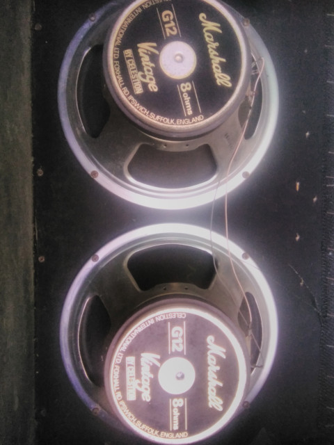 Celestion G12 Vintage 30 PAREJA