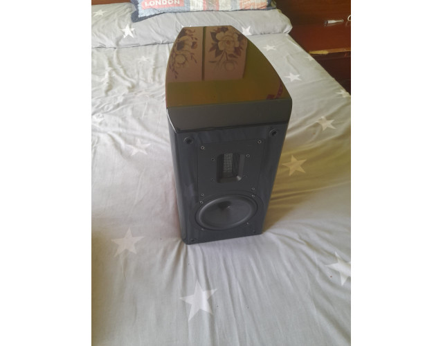 Aurum Cantus V2M Pareja