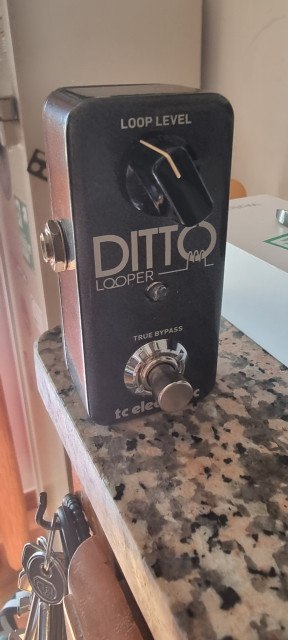 Ditto Looper  TC electronic