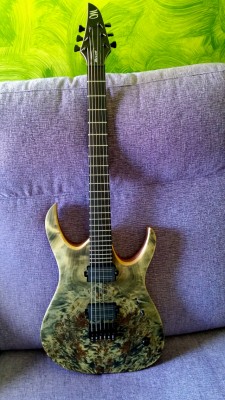 Mayones Duvell Elite 6  + Bare Knuckle