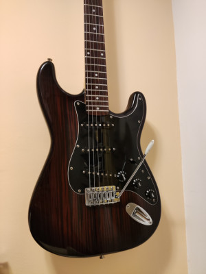 Harley Benton Deluxe Series + Fender USA Standard