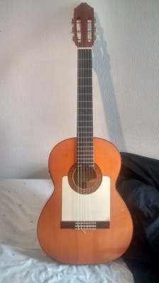 Guitarra flamenca amplificada con fishman