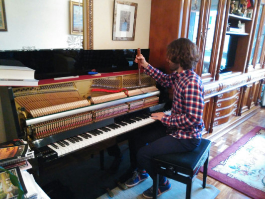 Afinador de Pianos en Asturias