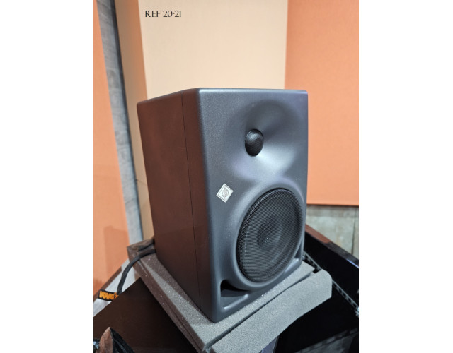 2 Monitores Neumann KH 120A