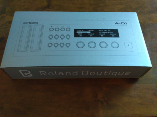 Roland Boutique A01