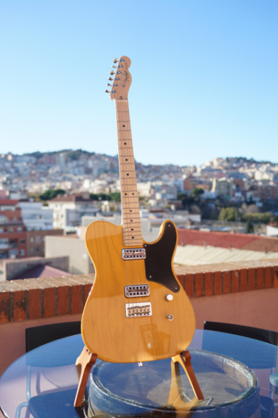 Fender Telecaster cabronita LTD