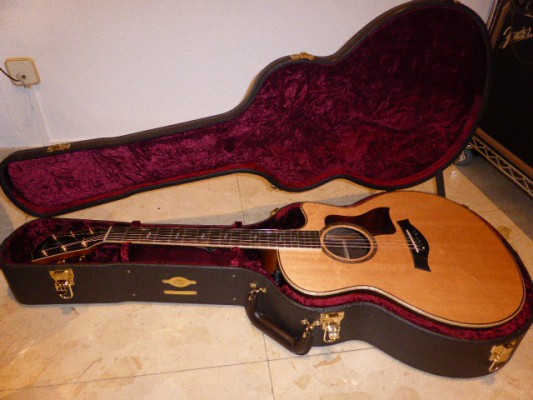Taylor 816 Ce First Edition