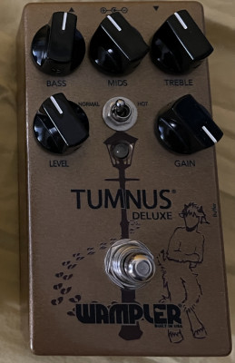RESERVADO—-//Wampler Tumnus  de luxe