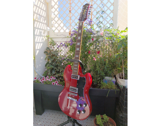 Guitarra 12 cuerdas - Dearmond S73