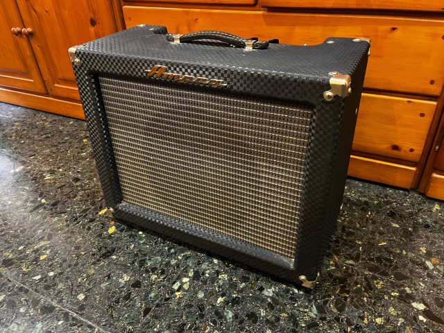 Ampeg SJ12-T