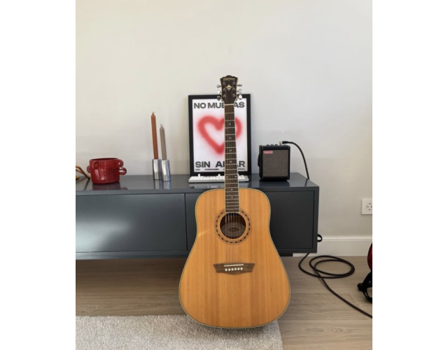 Washburn WD10S