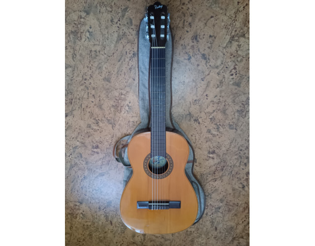 Guitarra clásica Hijos de Vicente Tatay