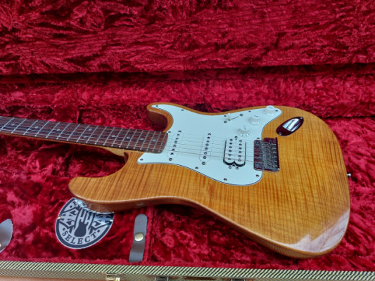 /Cambio Fender Select Stratocaster 2012 HSS (rebaja temporal)