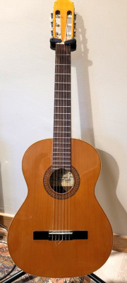 Guitarra clásica Raimundo mod. 112