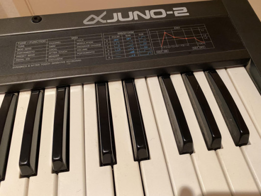 Roland Alpha Juno 2