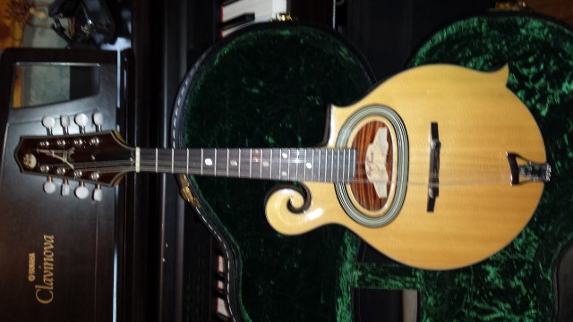 Vendo mandolina París swing MS-130..