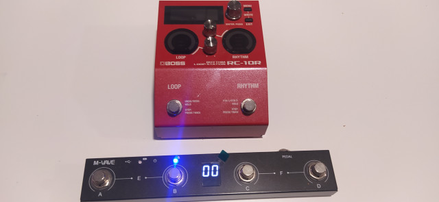 Boss rc10 looper