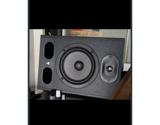 Monitores de estudio Focal Alpha 65