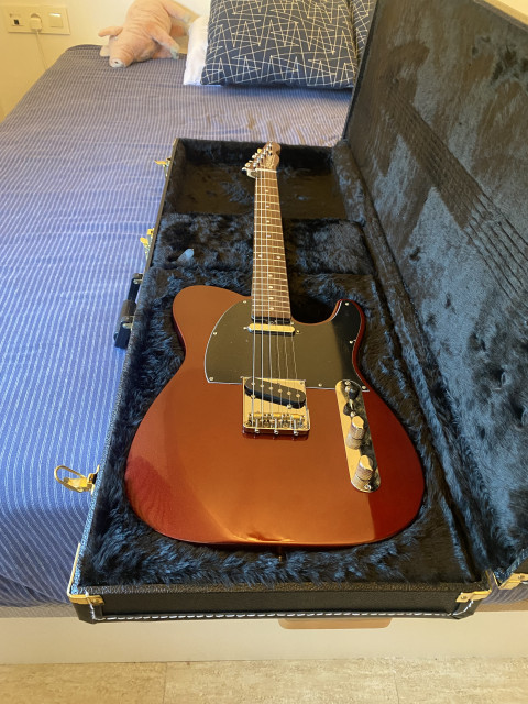 Larriveé telecaster 2024