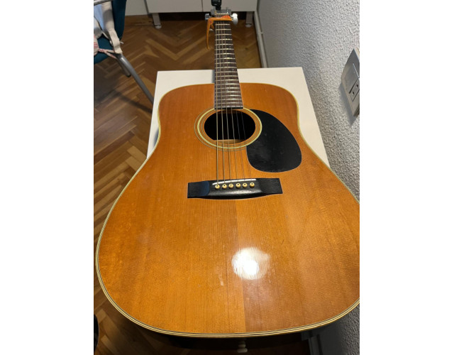 Acustica Morris W 20