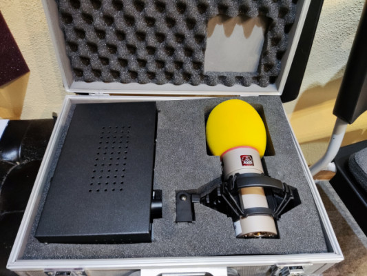 Micrófono de válvulas Akg Solidtube 2 unidades