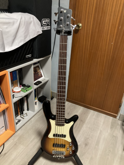 Cambio: Warwick GPS Streamer CV 5 y Merlos fretless 4 por fretless de 5 cuerdas