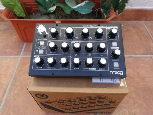 Vendo sintetizador para bajos Moog Minitaur