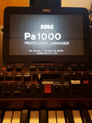 Korg PA1000 Profesional Arranger