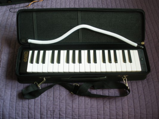 Vendo Melodica AMD