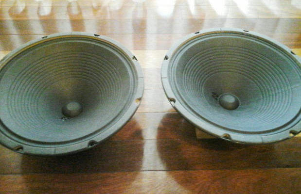 Jensen c12n 8ohm speakers 2 unidades
