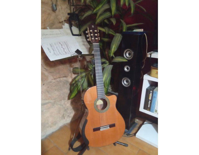 Guitarra Alhambra 5Pcw E2
