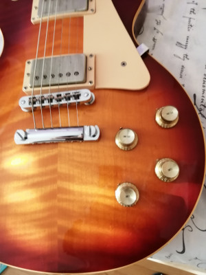 Gibson les paul traditional pastillas Antiquity