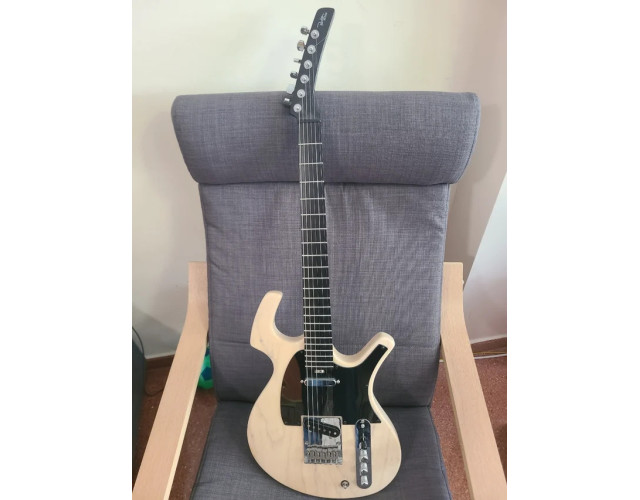 REBAJADO O cambio Parker southern nitefly telecaster
