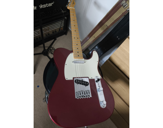 Fender Telecaster Standard Mex IMPOLUTA