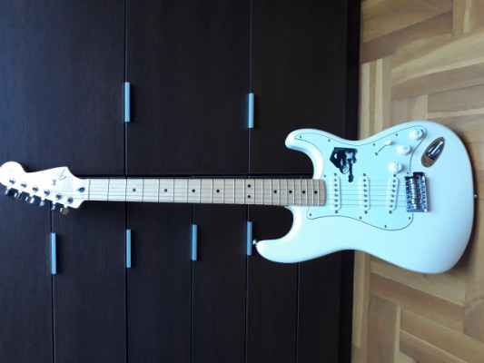 Fender Stratocaster MIM Standard