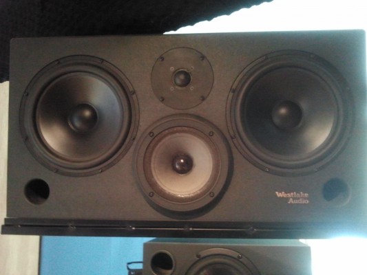 WESTLAKE BBSM10 MONITORES