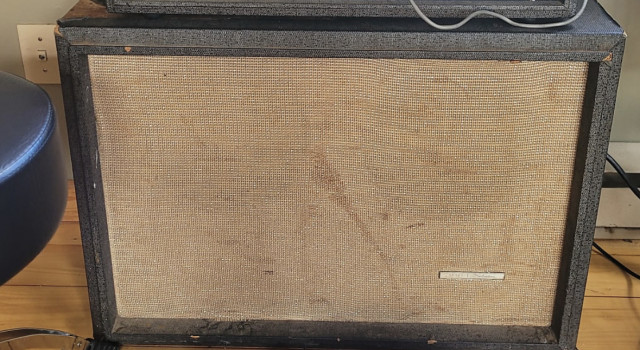 Compro pantalla Silvertone/Fender antigua