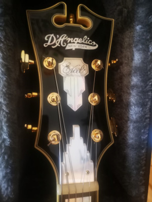 D´Angelico Excel EX-DH Natural-Cambios