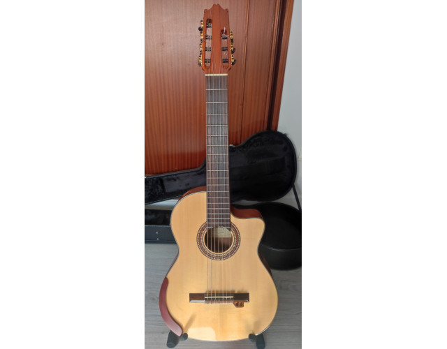 Guitarra clásica Ibanez de 7 cuerdas
