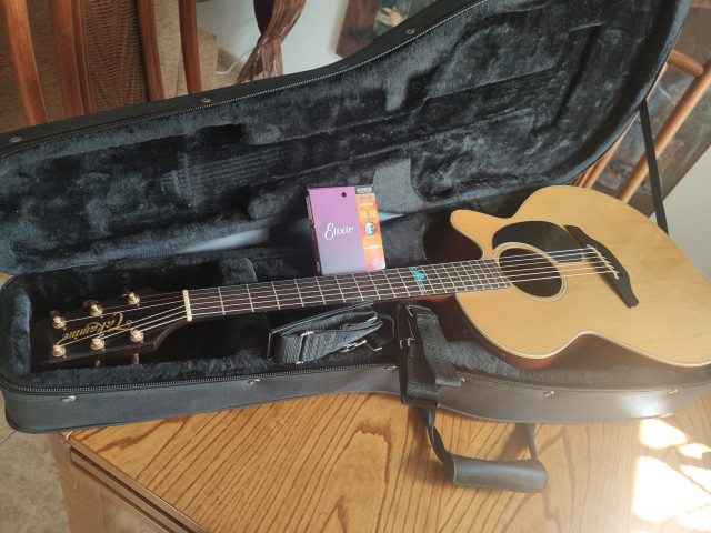 Takamine Santa Fe del año 1995
