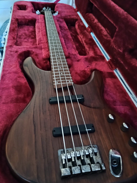 IBANEZ Egidyne EDB550