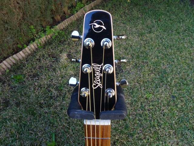 Guitarra acustica Seagull Coastline Momentun A/E HG