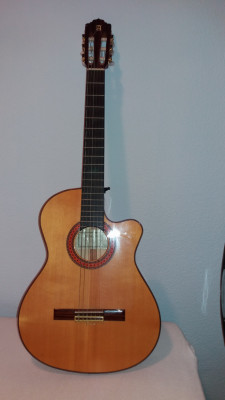 Guitarra Flamenca Alhambra Electrificada