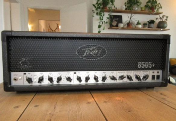 Peavey 6505+ IMPECABLE