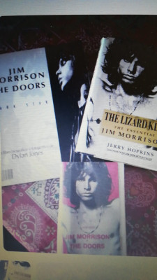 Coleccion 3 libros Jim Morrison