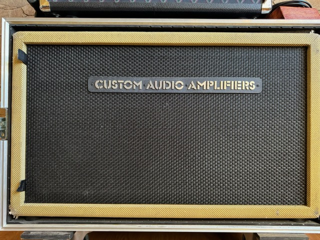 Pantalla 2x12 Custom Audio Electronics con Flight Case