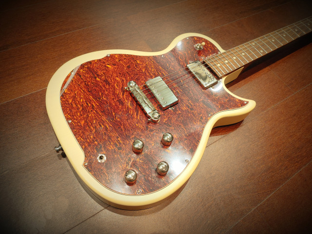 Godin Radiator