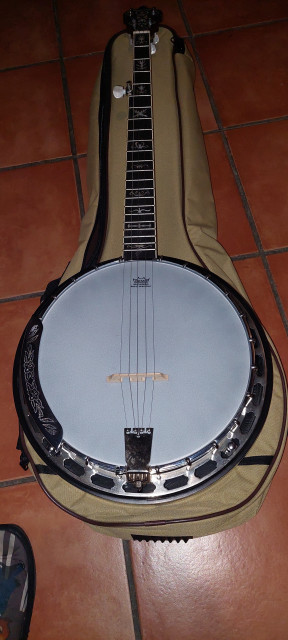 Vendo-Cambio Banjo 5 cuerdas Richwood